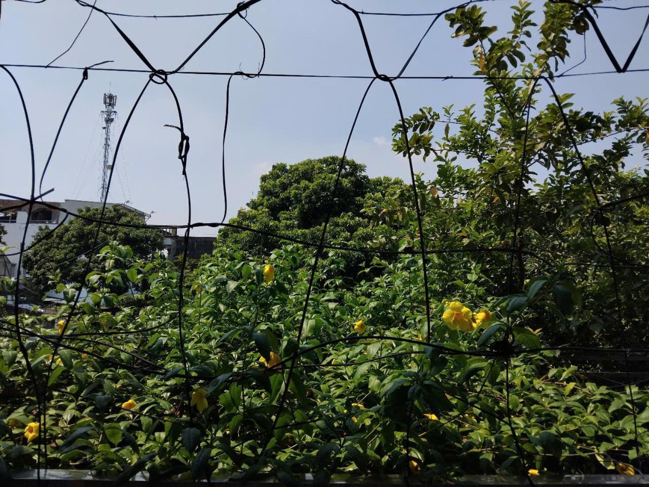 Green Space Homestay Ninh Binh Exterior photo